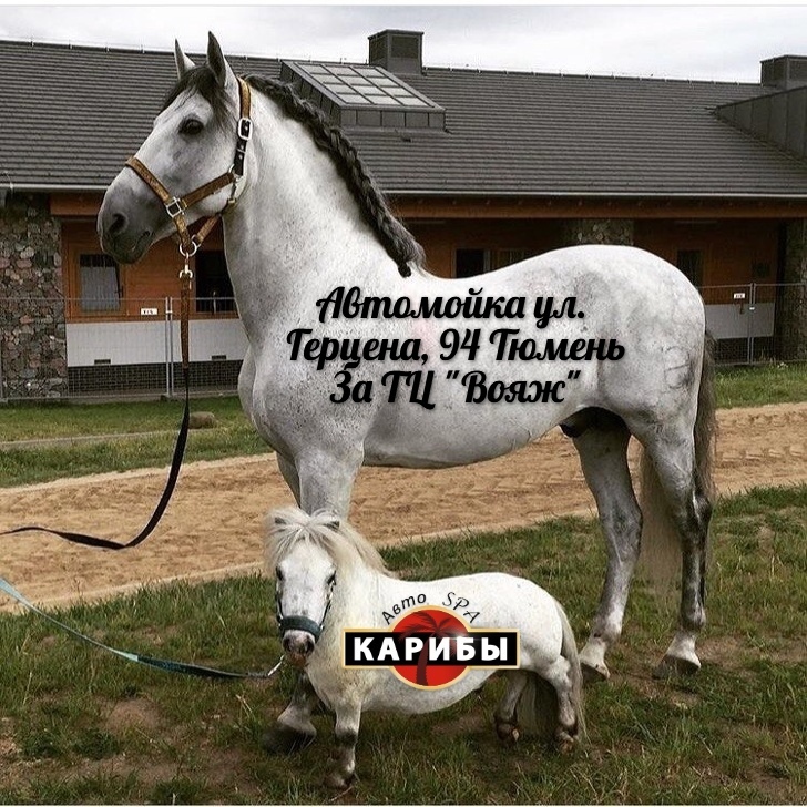 автомойка герцена тюмень автомойка герцена тюмень