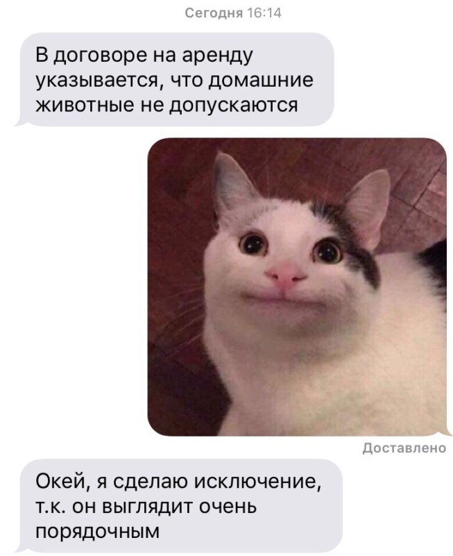 Вежливый кот