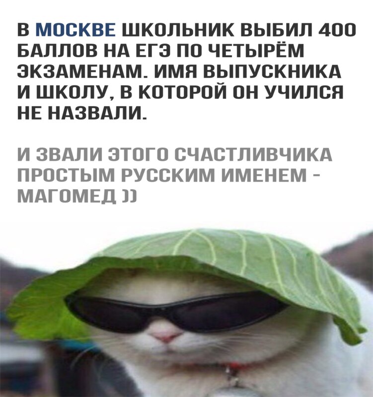 ЕГЭ на 400 баллов