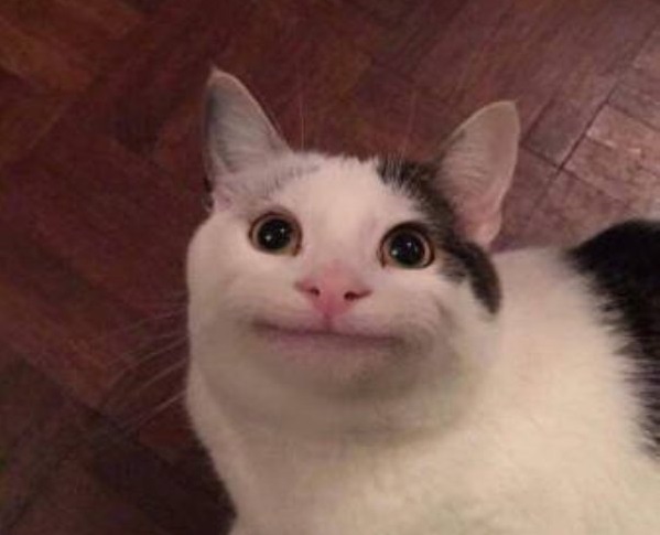 Вежливый кот