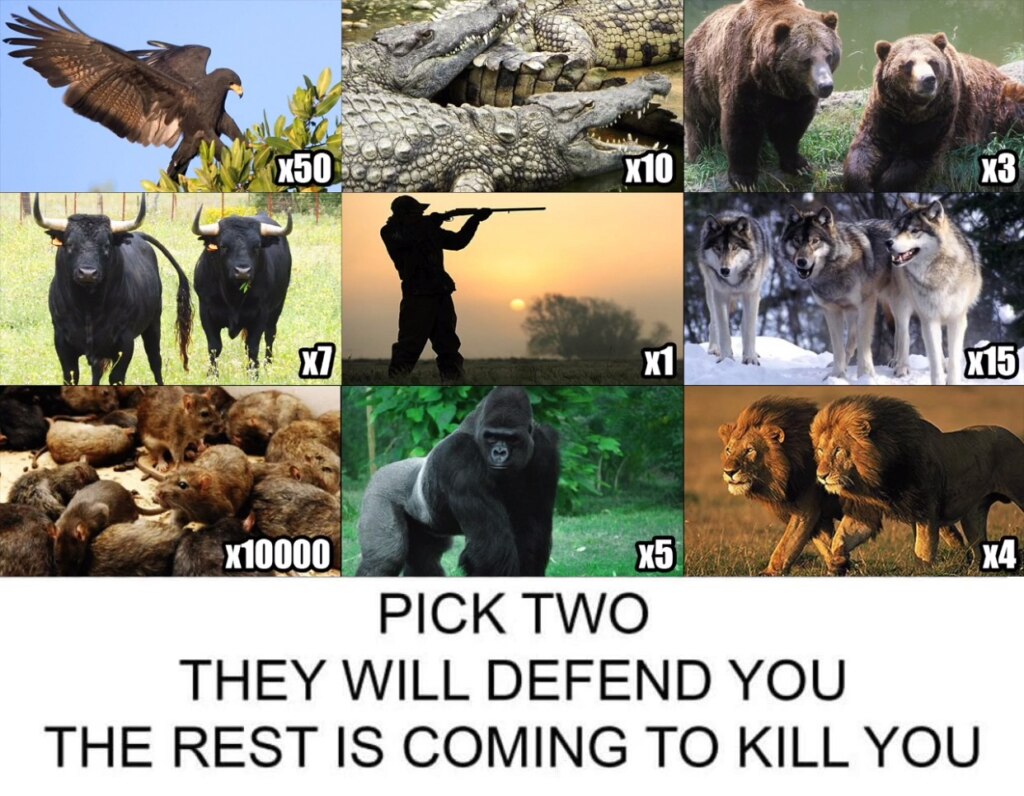 TierZoo разобрал мем "Собери свою команду"