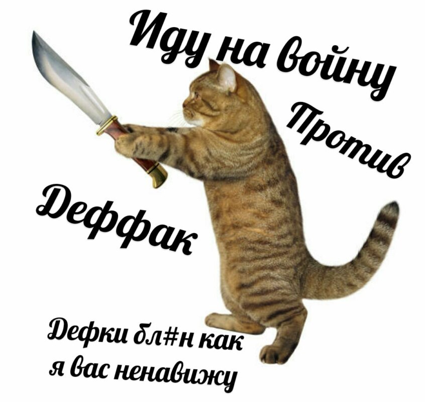 Кот против девок