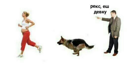 Рекс еш девку