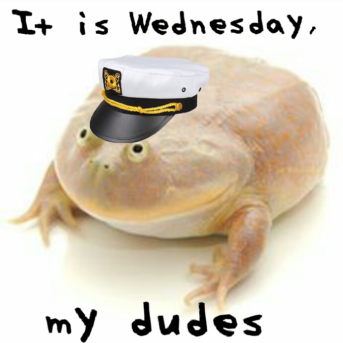It Is Wednesday, My Dudes It Is Wednesday, My Dudes