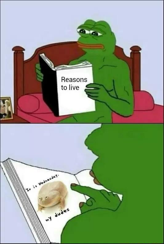 It Is Wednesday, My Dudes It Is Wednesday, My Dudes