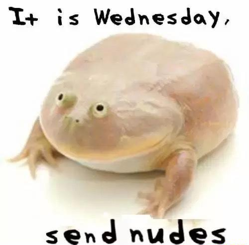 It Is Wednesday, My Dudes It Is Wednesday, My Dudes