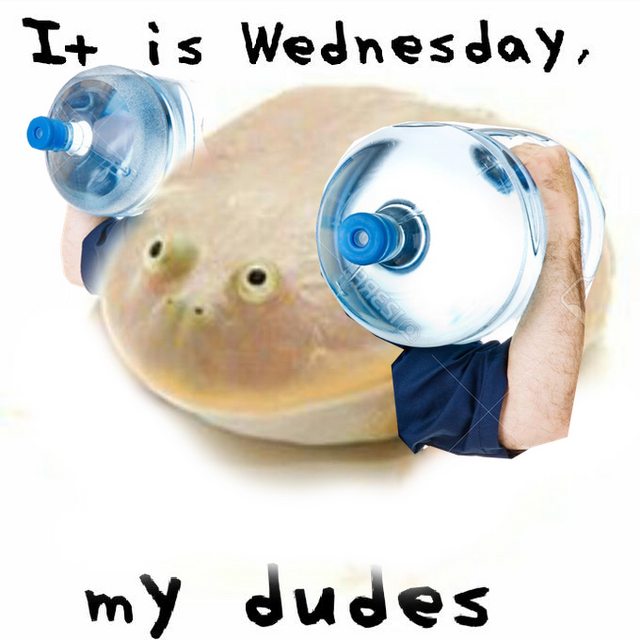 It Is Wednesday, My Dudes It Is Wednesday, My Dudes