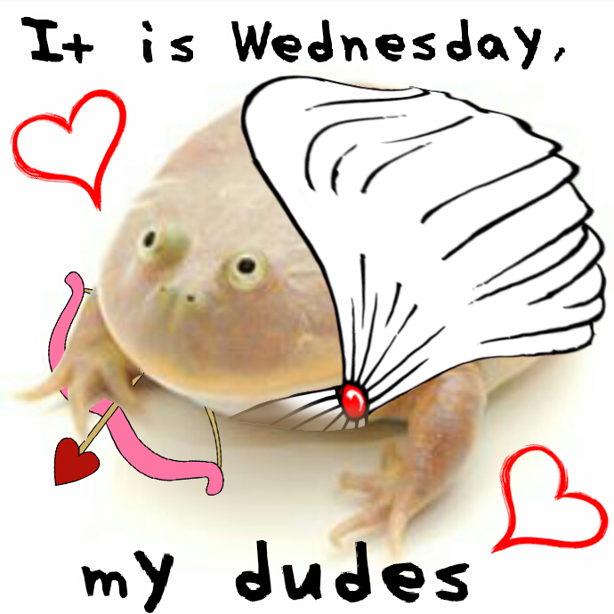 It Is Wednesday, My Dudes It Is Wednesday, My Dudes