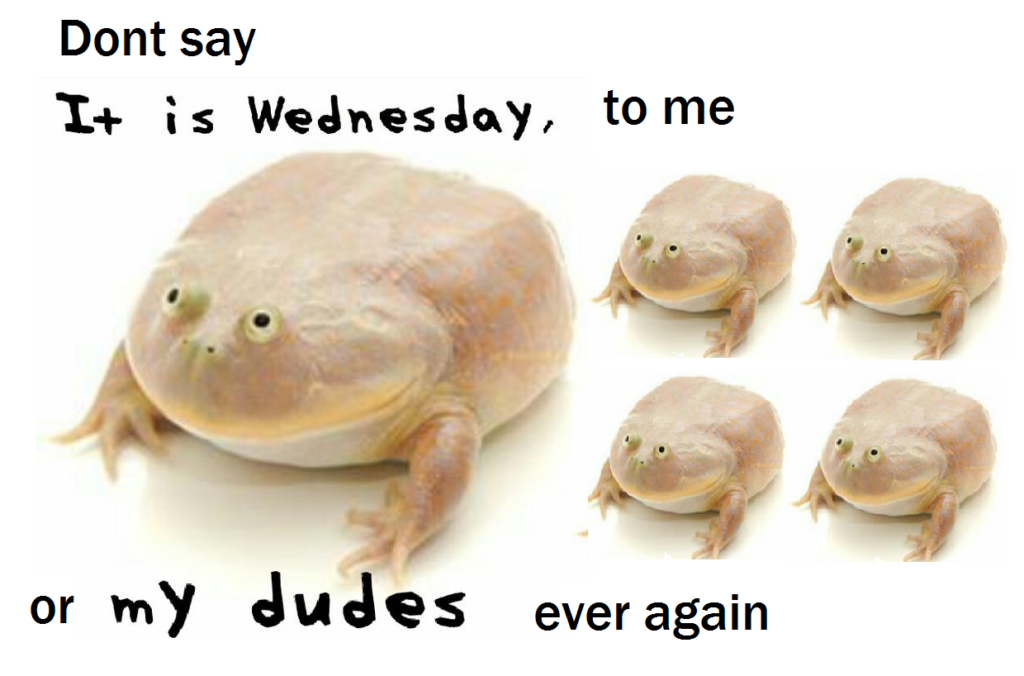 It Is Wednesday, My Dudes It Is Wednesday, My Dudes
