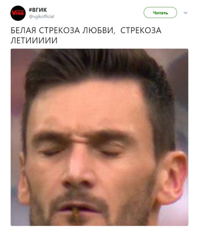 Льорис и белая стрекоза любви