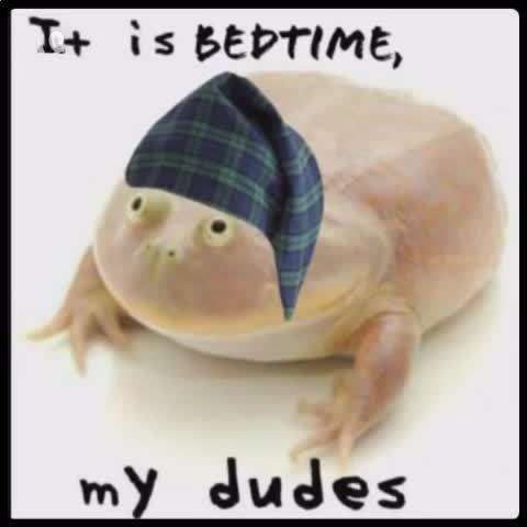 It Is Wednesday, My Dudes It Is Wednesday, My Dudes