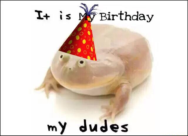 It Is Wednesday, My Dudes It Is Wednesday, My Dudes