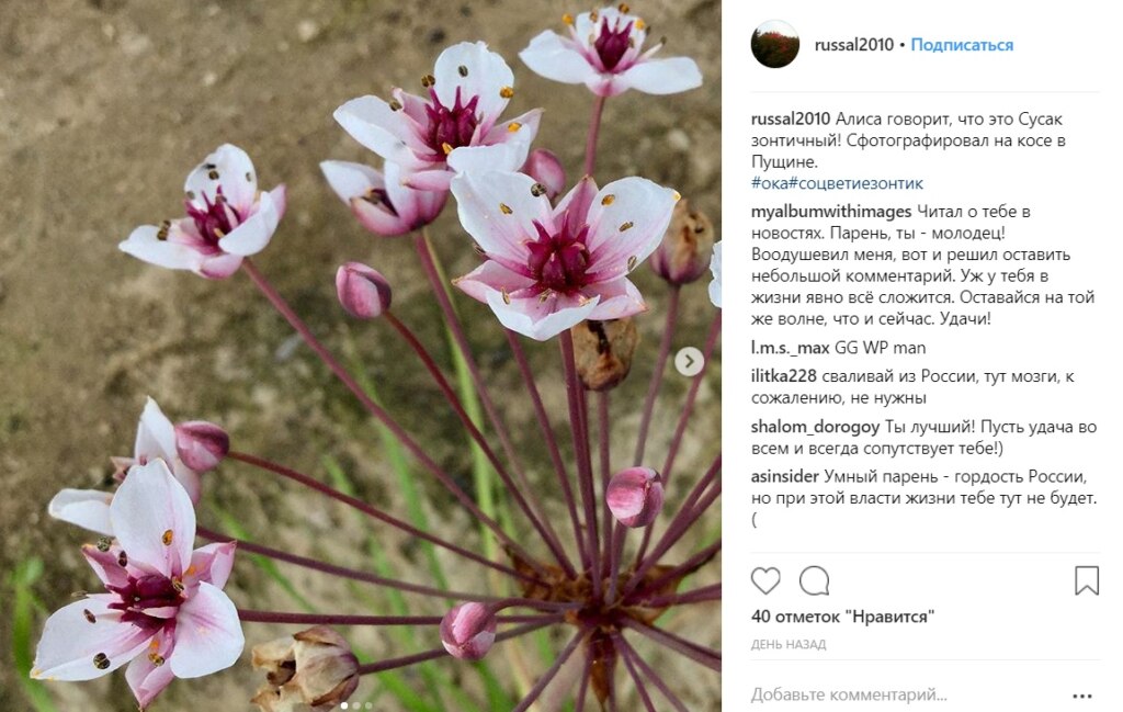 ЕГЭ на 400 баллов