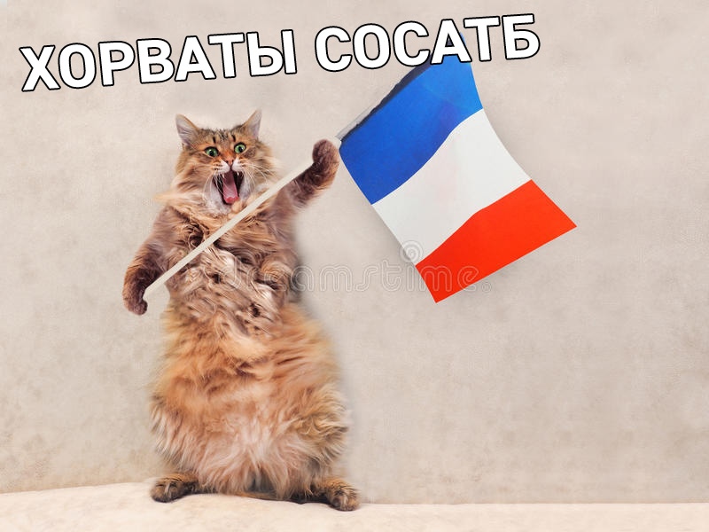 Франция Хорватия