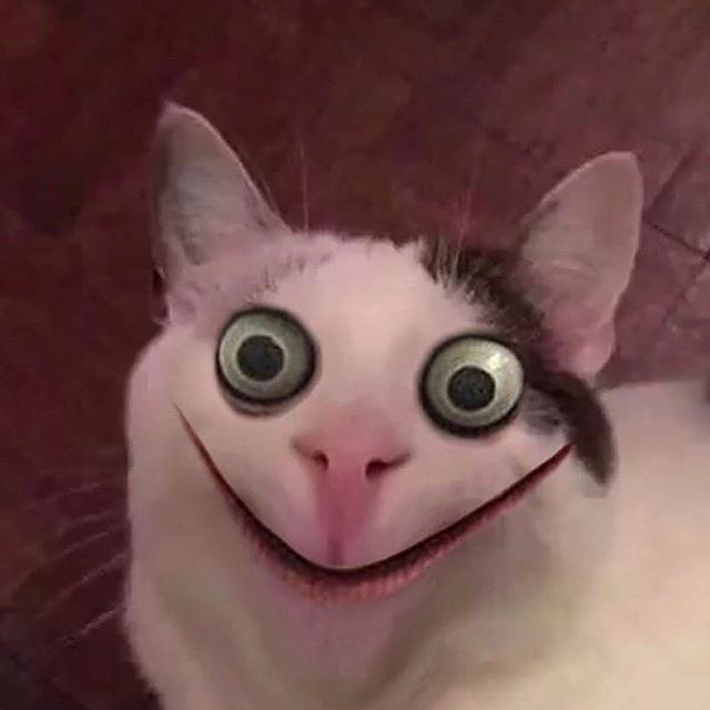 Момо