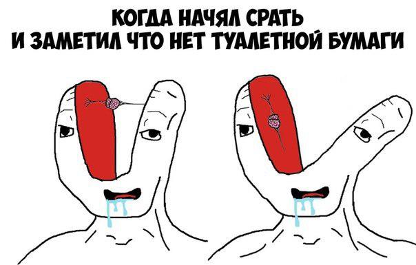 микромозг мем микромозг мем