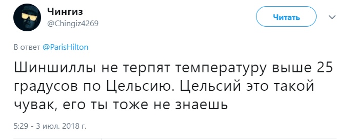 Пэрис Хилтон объясняют про шиншилл