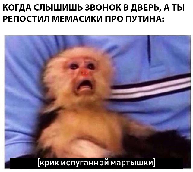 Крик растерянной мартышки Крик растерянной мартышки