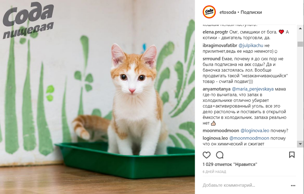 соцсети соды