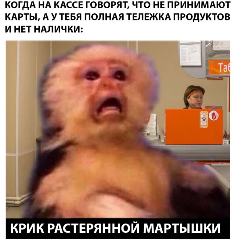 Крик растерянной мартышки Крик растерянной мартышки