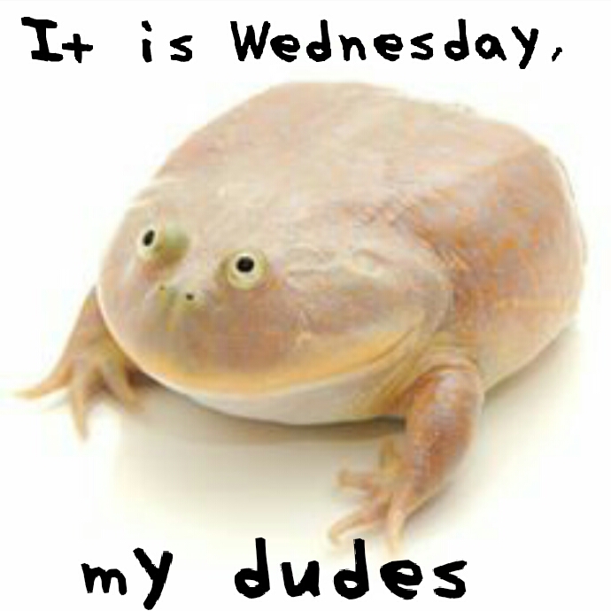 It Is Wednesday, My Dudes It Is Wednesday, My Dudes