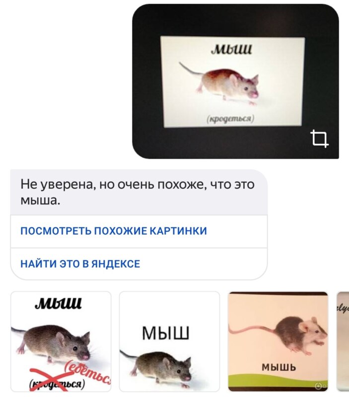Алиса распознаёт мемы