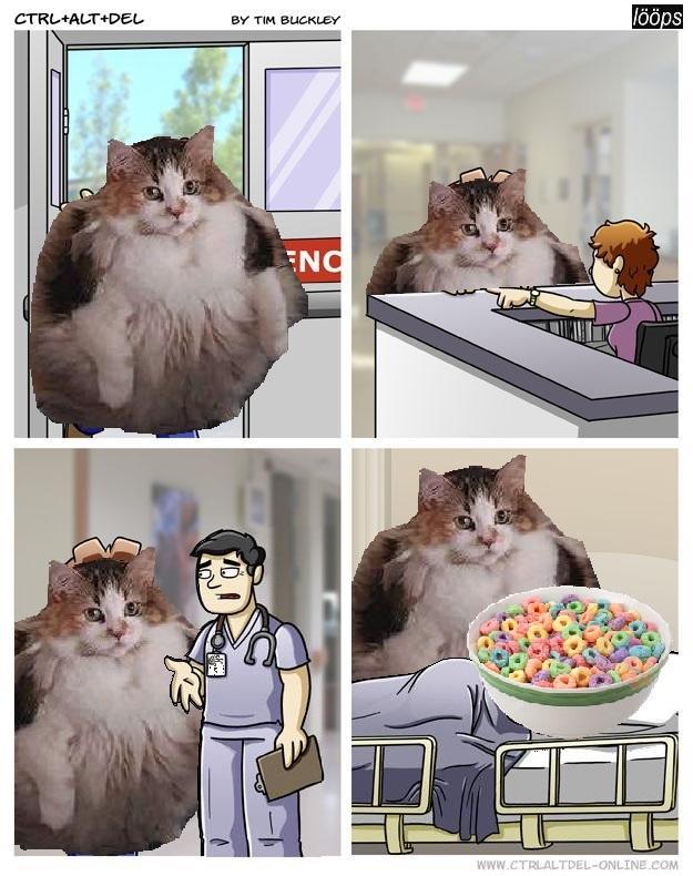Brother May I Have Some Loops Brother May I Have Some Loops