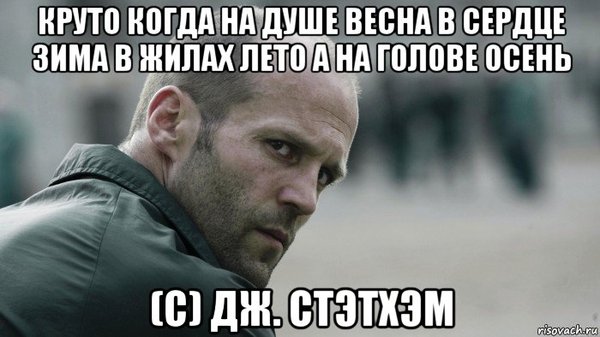 Цитаты Стейтема Цитаты Стейтема