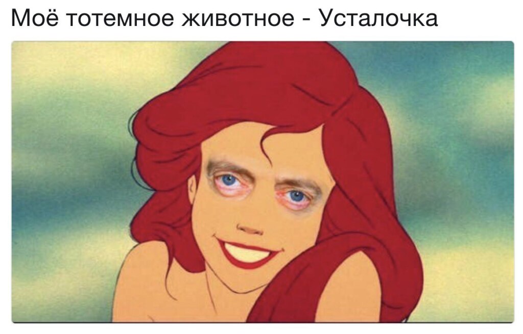 Глаза Стива Бушеми Глаза Стива Бушеми