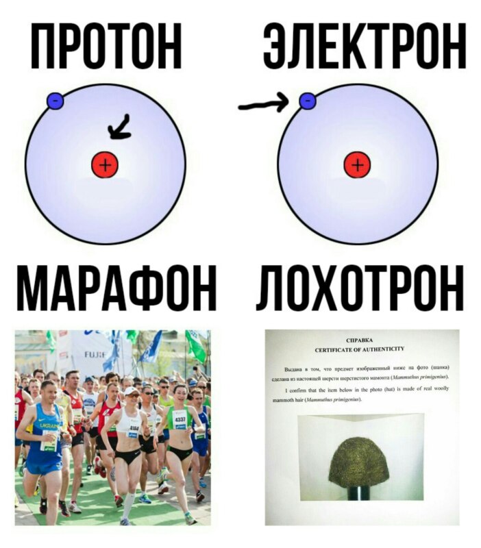 Шапка из шерсти мамонта Шапка из шерсти мамонта