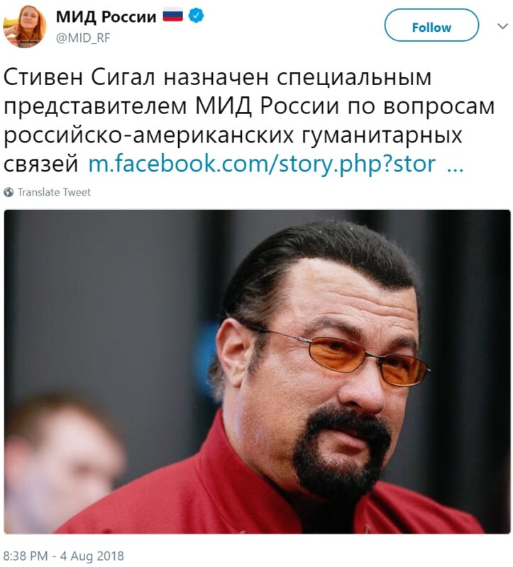 Стивена Сигала назначили представителем МИД