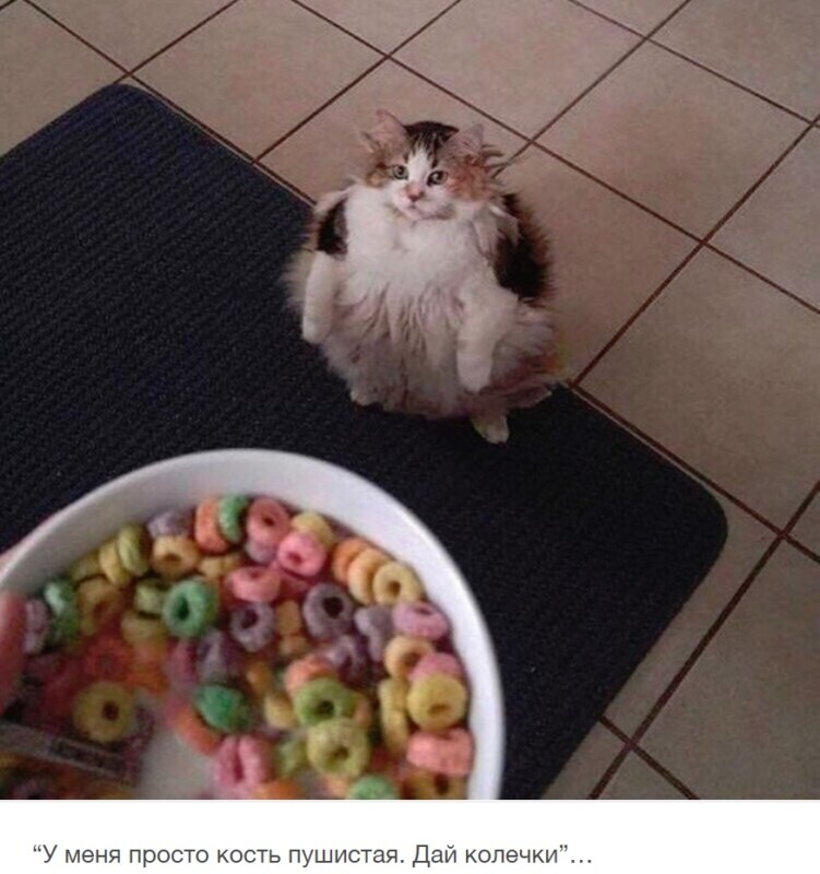 Brother May I Have Some Loops Brother May I Have Some Loops