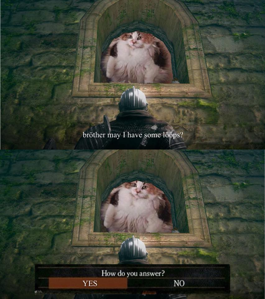 Brother May I Have Some Loops Brother May I Have Some Loops