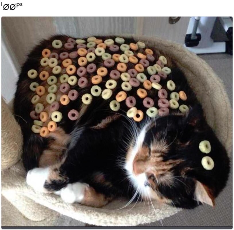 Brother May I Have Some Loops Brother May I Have Some Loops