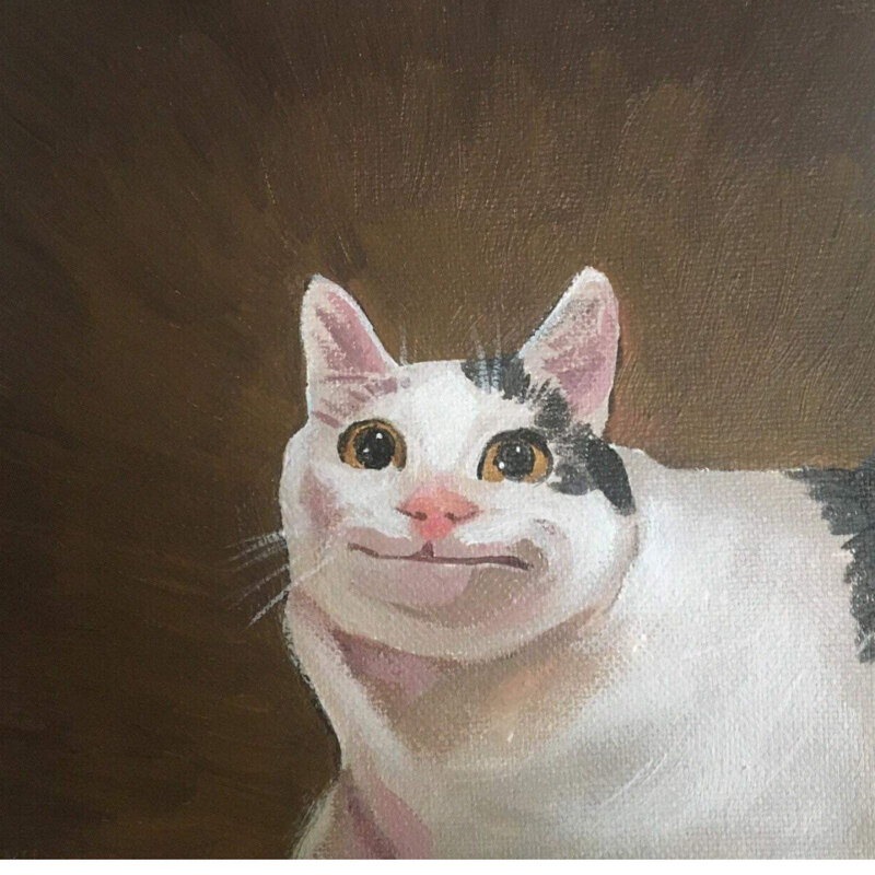 Вежливый кот Вежливый кот