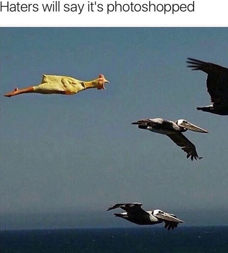 Хейтеры скажут что это фотошоп Хейтеры скажут что это фотошоп