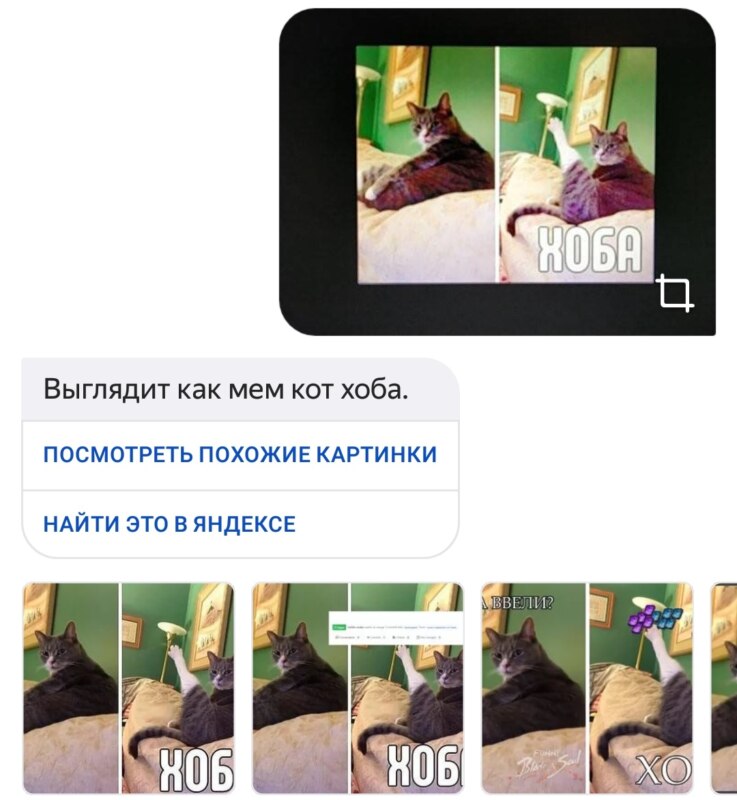Алиса распознаёт мемы