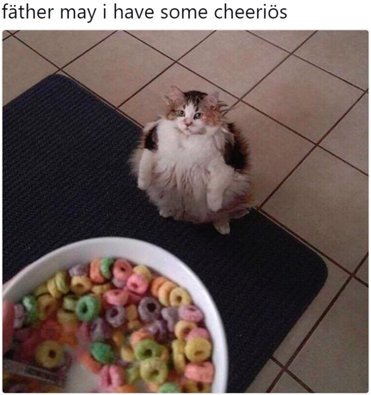 Brother May I Have Some Loops Brother May I Have Some Loops