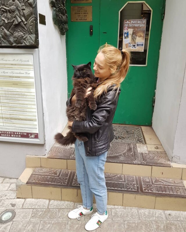 Похищение кота Бегемота