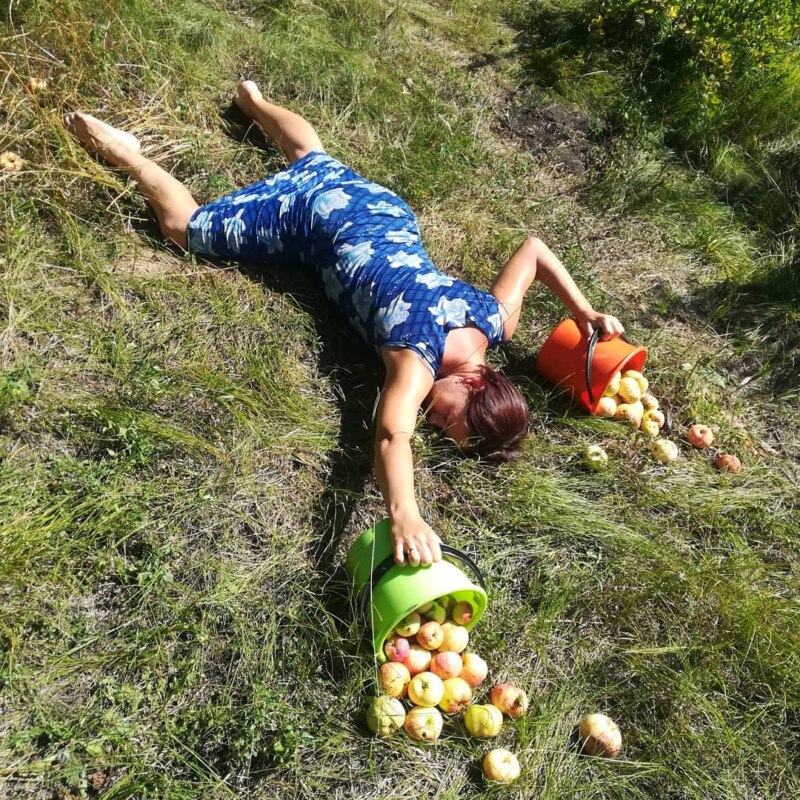 Падающие звезды Падающие звезды