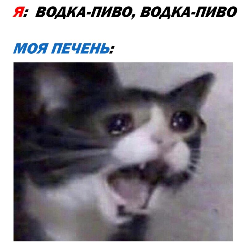 Водка - пиво