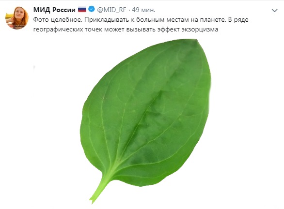 Целебный Лавров Целебный Лавров