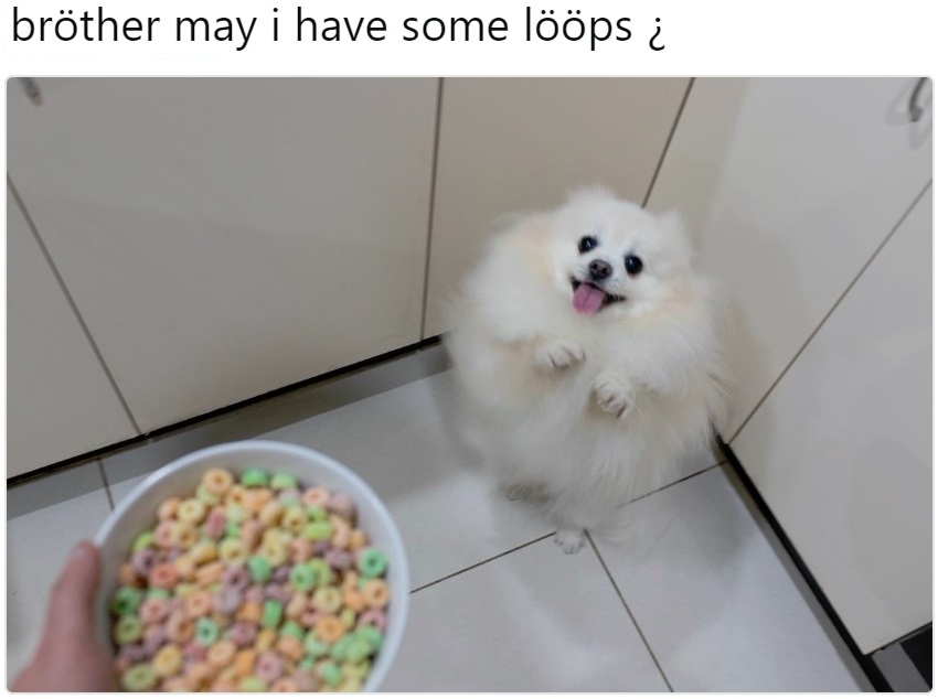 Brother May I Have Some Loops Brother May I Have Some Loops