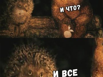 И что? И всё (Ёжик в тумане)