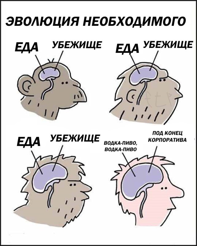 Водка - пиво