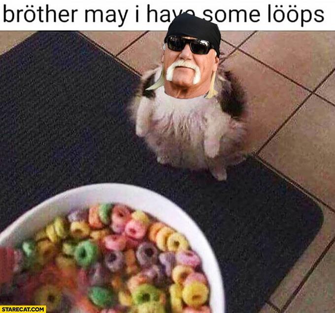 Brother May I Have Some Loops Brother May I Have Some Loops