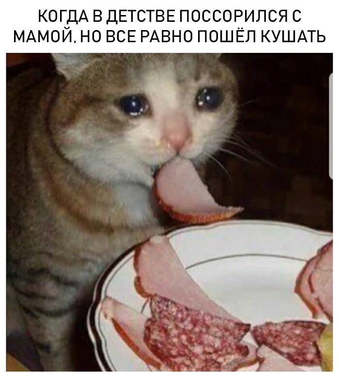 Заплаканный кот