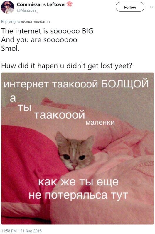 Русские мемы (проникают на Запад)