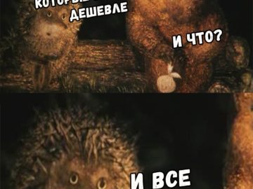 И что? И всё (Ёжик в тумане)