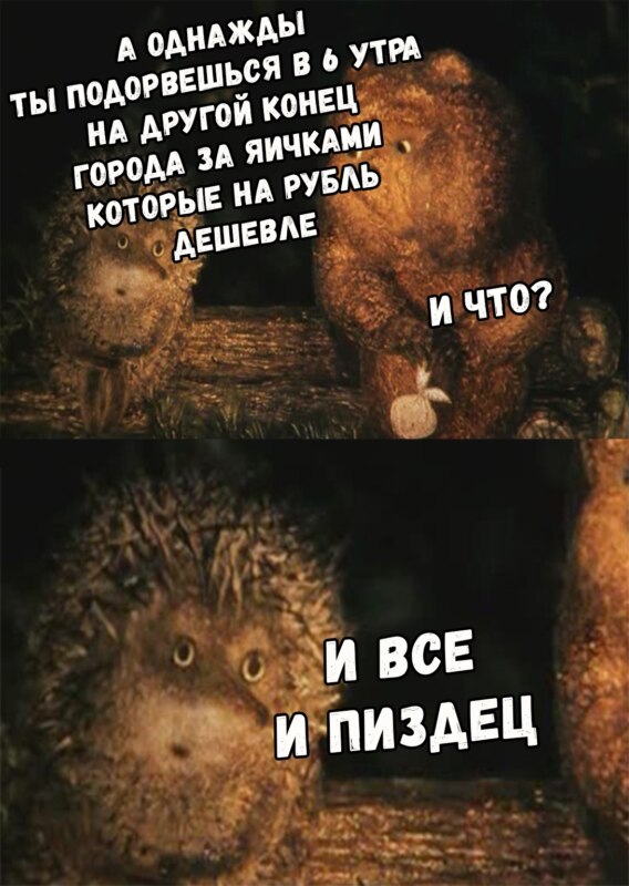 И что? И всё (Ёжик в тумане)